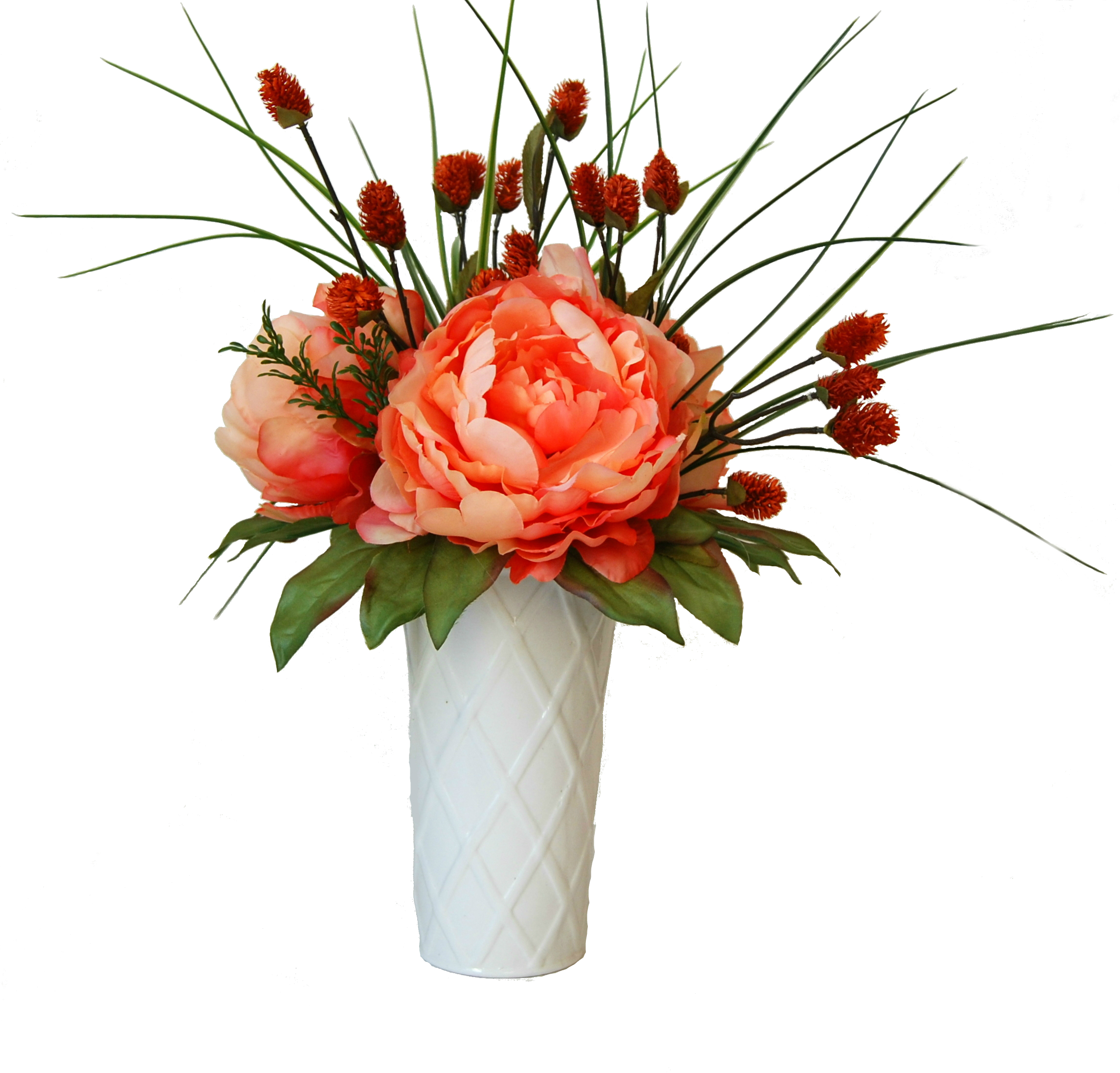 Coral peonies in a white ceramic vase